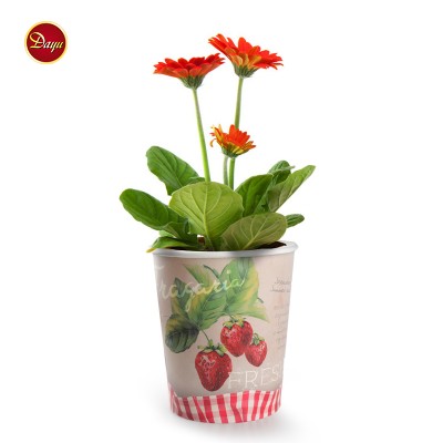 Customized Eco-friendly paper cup paper flower pot growpot